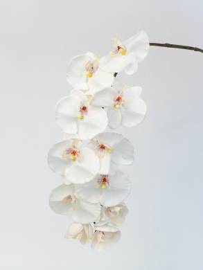 Искусственная орхидея фаленопсис Jumbo 11 цветков real-touch D11*H102 см белая