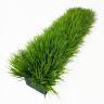 Кустик травы Осоки (газон) искусственный зелёный  Н30см