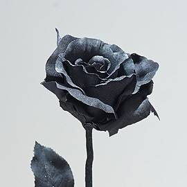 Искусственный цветок для декора Роза Шарон черная D-10см Н 63см