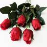 Розы красные Джой в бутоне, в наборе 5 шт. искусственные цветы для декора Н68 см 