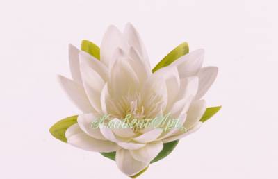 Лотос (кувшинка) искусственный цветок 16D кремовый (плавающий в воде)
