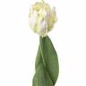 Тюльпан попугай 5Dx62H белый (2 листа) искусственный цветок