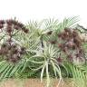 Композиция из искусственных растений Тропикана 3 в кокосовом боксе 62х17хН12 см
