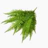 Папоротник Нефролепис зеленый куст искусственный декоративный 10 листов H55 см  