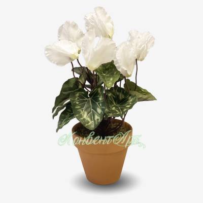 Цикламен искусственный цветущий  белый 7 цветков в керамическом кашпо