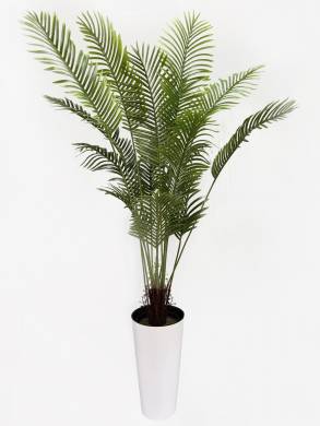 Пальма искусственная  Хамедорея 16 веток  Н180см в белом глянцевом кашпо D30 Н57 см
