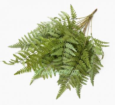 Папоротник Лесной куст зеленый искусственный декоративный 15 веток H75 см  