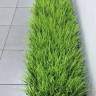 Куст искусственной травы Осоки Н33 см, зеленый