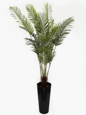 Пальма искусственная Хамедорея 16 веток  Н180 см в черном глянцевом кашпо D30 Н57 см