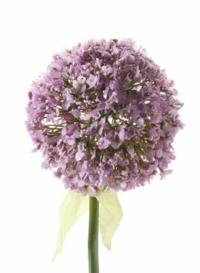 Аллиум искусственный цветок (Дикий лук) 70H светло-фиолетовый