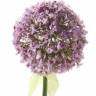 Аллиум искусственный цветок (Дикий лук) 70H светло-фиолетовый