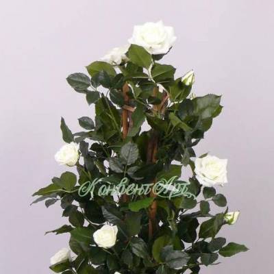 Роза искусственная кустовая Леди 100H кремовый (15 цветов)