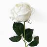 Роза ФАННИ белая искусственная D8 H43 см