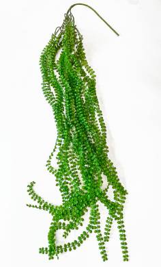 Дисхидия нуммулария искусственная зелёная лиана для декора Н150 см