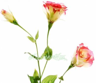 Лизиантус Real-touch бело-розовый (3 искусственных цветка)