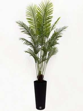 Пальма искусственная Хамедорея 16 веток Н180 см в кашпо Ротанг антрацит D30 Н57 см