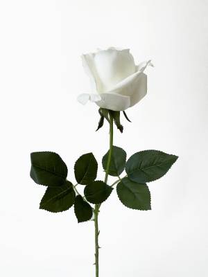Роза КАРОЛИНА белая искусственная  D7 Н65 см