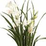 Орхидея искусственная Цимбидиум 75H кремовая (в торфе)