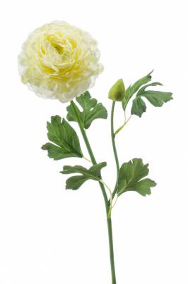 Ранункулюс (Лютик) искусственный цветок кремовый, D10 H53 см