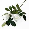 Роза Джессика белая кустовая 2 цв.+1 бут. Н80 см