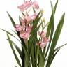 Орхидея искусственная Цимбидиум 75H розовый (в торфе)