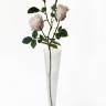 Роза Джессика нежно-розовая кустовая 2 цв.+1 бут. Н80 см