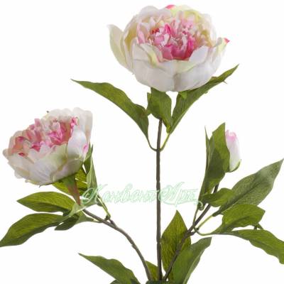 Пион искусственный ветка 2 цветка, 1 бутон, 70см бело-розовый