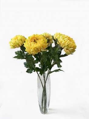 Хризантемы Королевские жёлтые в наборе 5 шт. D15 H75 см