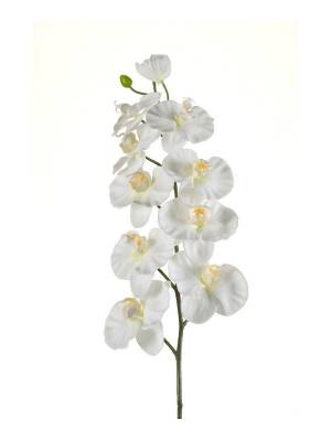 Искусственные цветы орхидеи Фаленопсис DELUXE Н100 см кремовый (9 цветков)