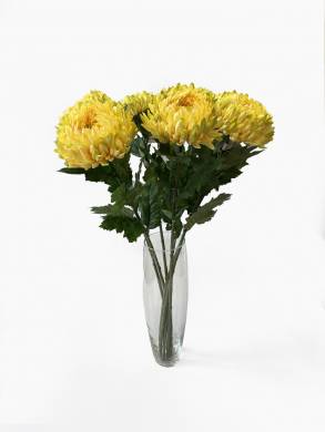 Хризантемы Королевские жёлтые в наборе 7 шт. D15 H75 см
