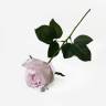 Роза ФАННИ светло-розовая искусственная D8 H43 см 1